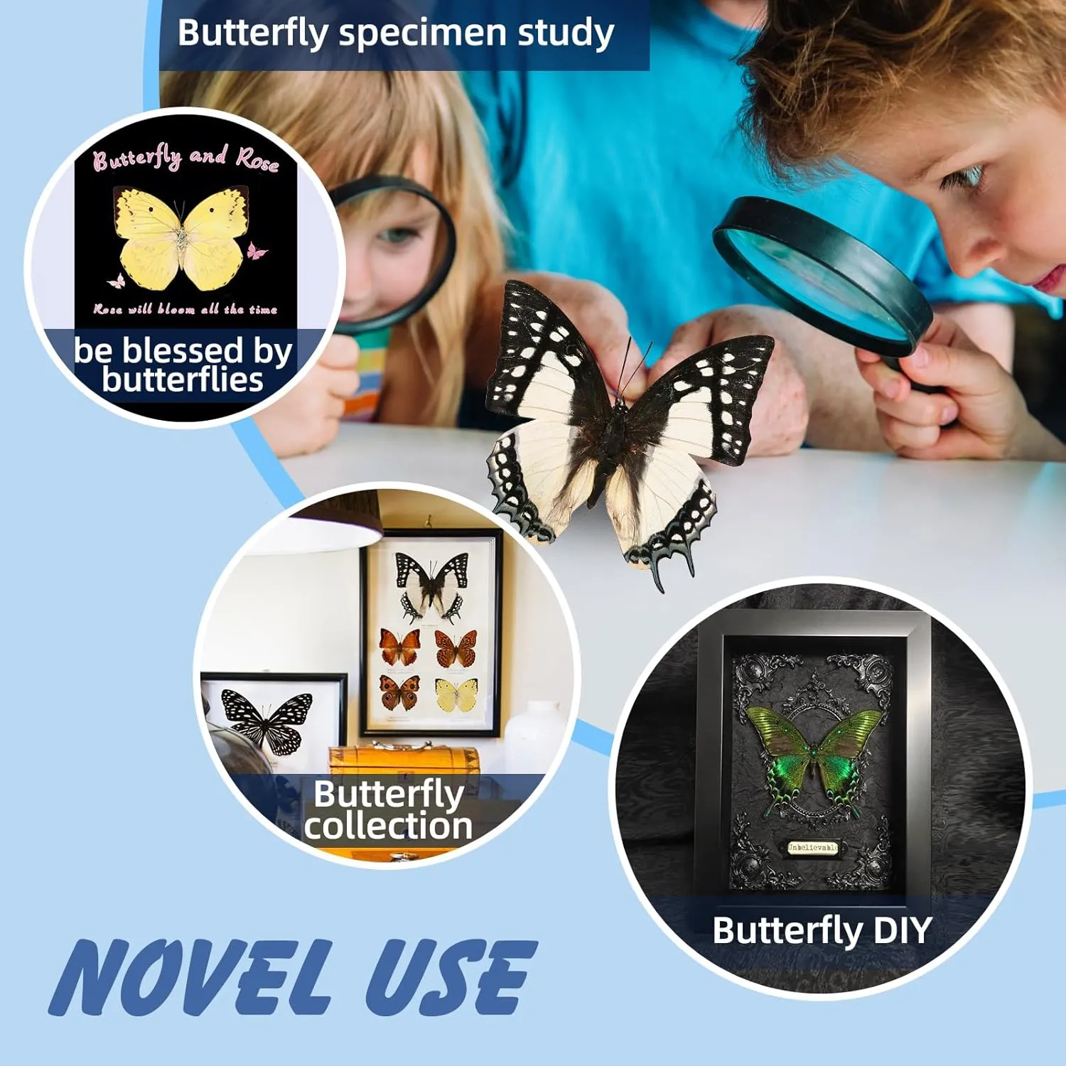 12 Pcs Real Butterfly Specimen - Taxidermy Butterfly DIY Creative Production, Taxidermy Animals for Framed Butterfly Shadow Box (Random)