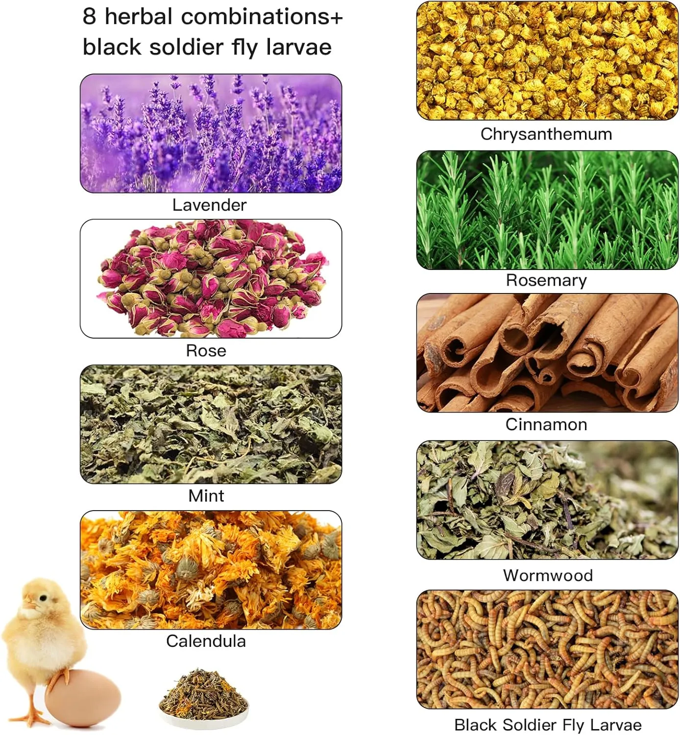 17.6Oz Nesting Herbs Supplement for Backyard Chickens Natural Chicken Treats Poultry Feed Mix Herbs Coop Snacks for Daily Wellness Feather Quality Egg Production Chicken Coop Freshness Help Coop Smell