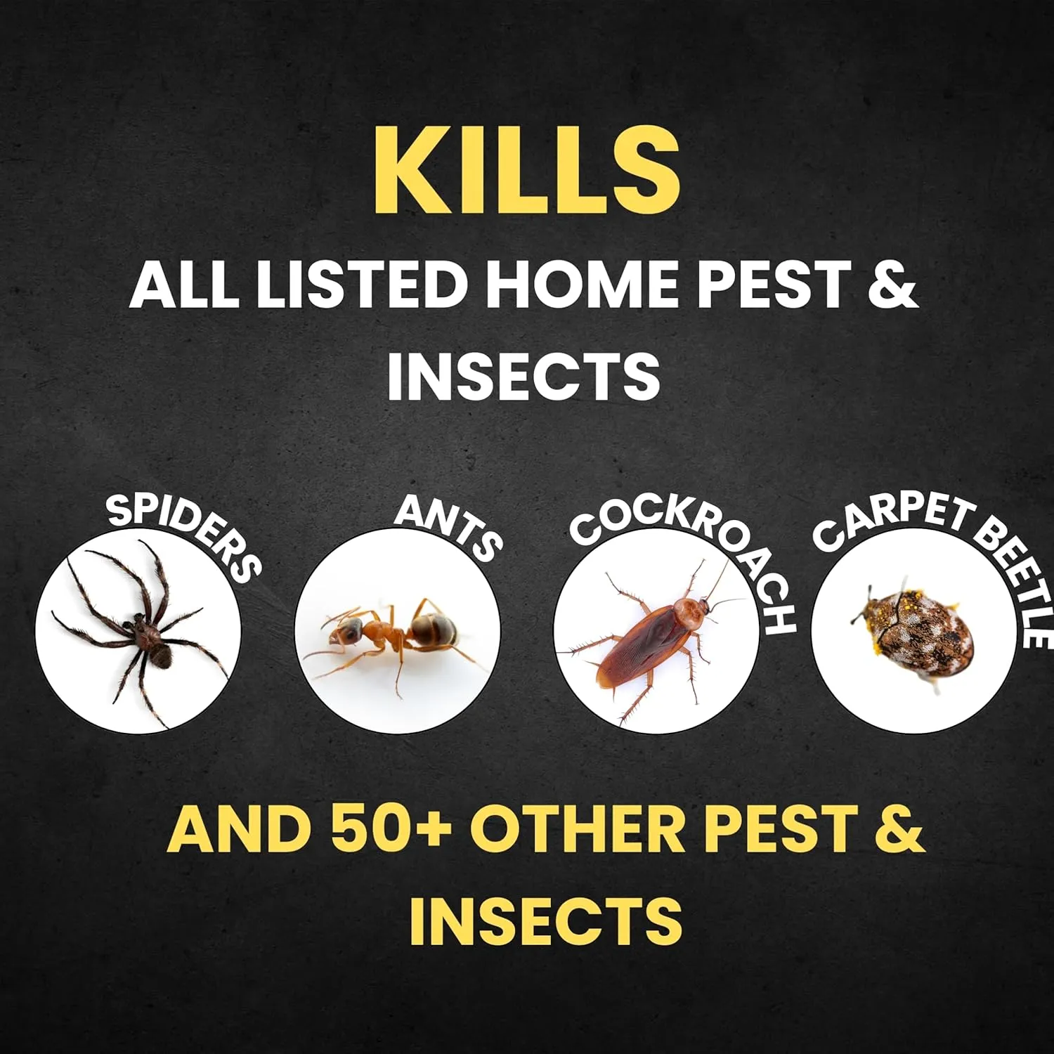 24oz Indoor Pest Control for Ant, Fly, Flea,Tick, Roach, Spider, Moth, Carpet Beetle and More, Plant Based Insect Killer for Home & Kitchen Use, Natural Solution, Pets & Family Safe