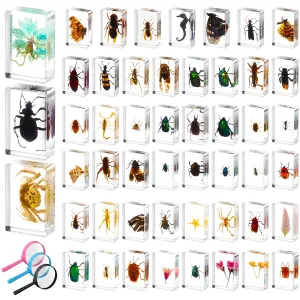 50 Pcs Insect in Resin Specimen Various Bugs Collection Paperweights Bug Kit Preserved in Resin with 3 Magnifier Marine Animal Specimens for Kids Scientific Educational Display Collection