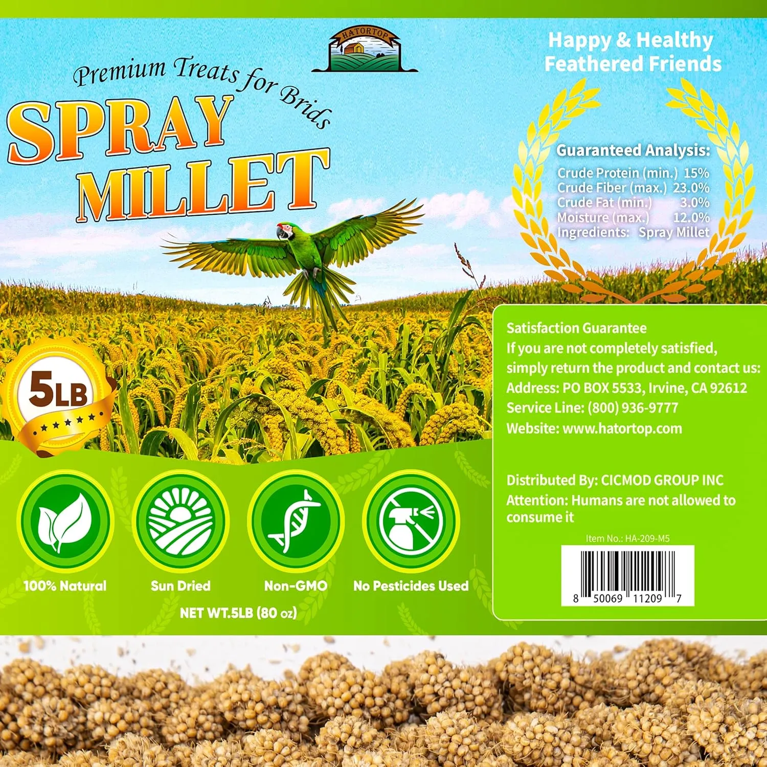 5LB Millet Spray for Birds Parakeets Treats - All Natural Sun-Dried Spray Millet for Parakeets, Cockatiel, Budgie, Finches, Parrots, Hamster, 100% Non GMO Dried Fresh Bird Seed