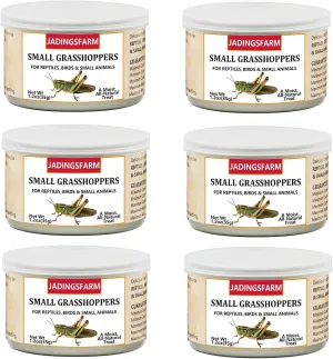 6 Pack Canned Small Grasshoppers for Reptiles, Fish, Birds and Small Animals, Grasshoppers, Healthy High Protein Treat, Bearded Dragon Food 1.2 Ounces Each