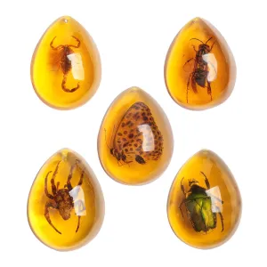 Acxico 5pcs Amber Fossil with Insects Samples Stones Crystal Specimens Home Decorations Collection Oval Pendant (Green Armor   Scorpion   Flower Butterfly   Wasp   Spider)