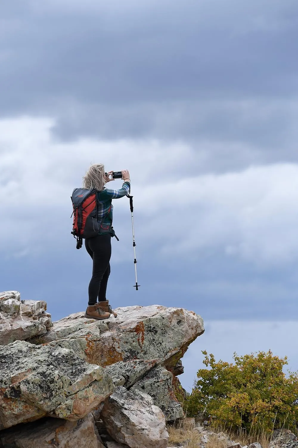 ALPS Mountaineering Trekking Pole