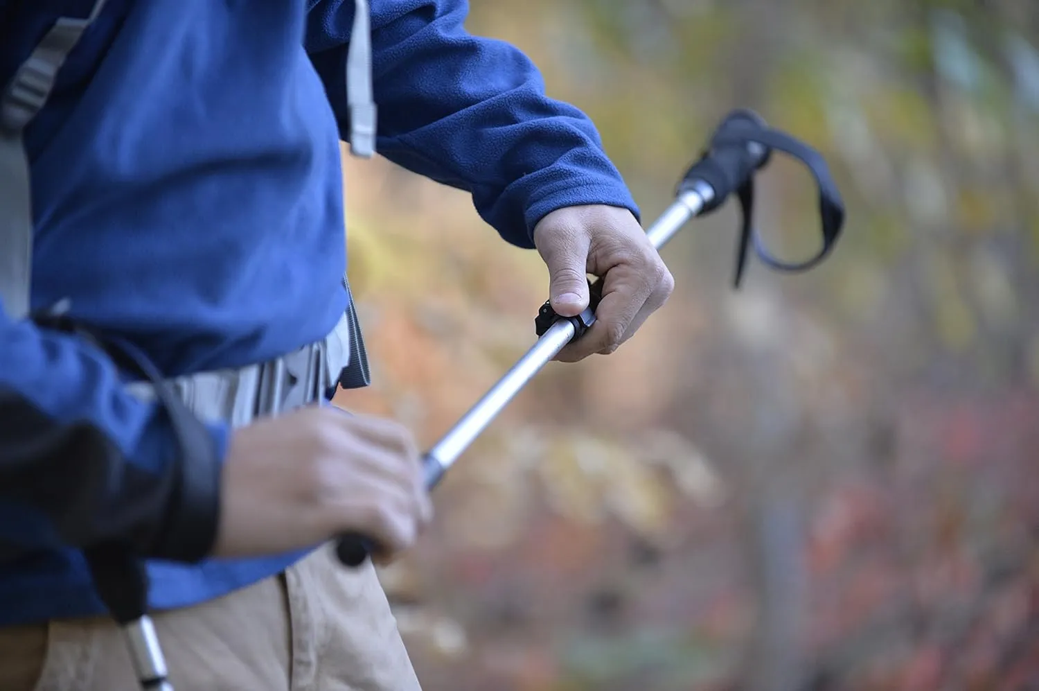 ALPS Mountaineering Trekking Pole