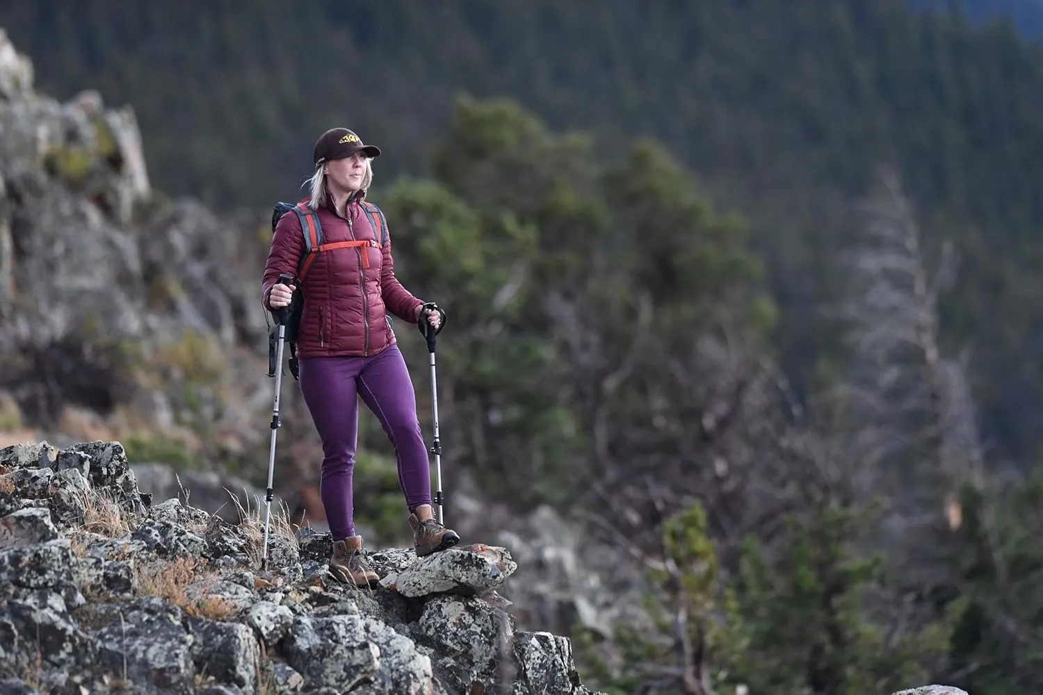 ALPS Mountaineering Trekking Pole