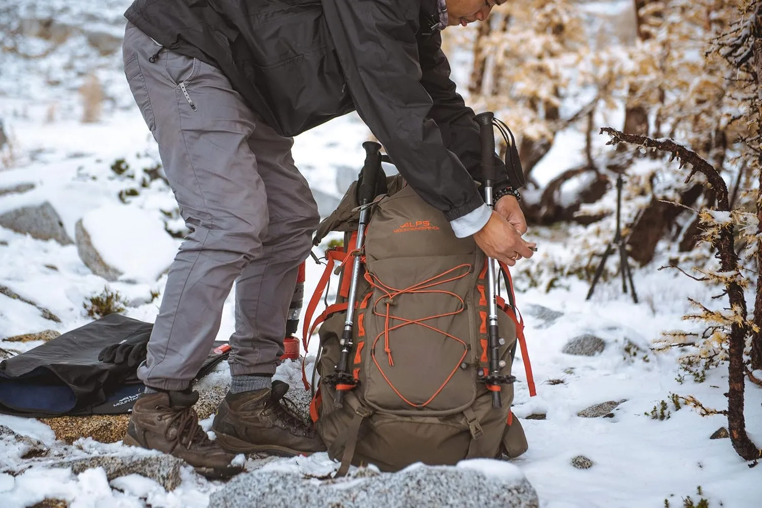 ALPS Mountaineering Trekking Pole