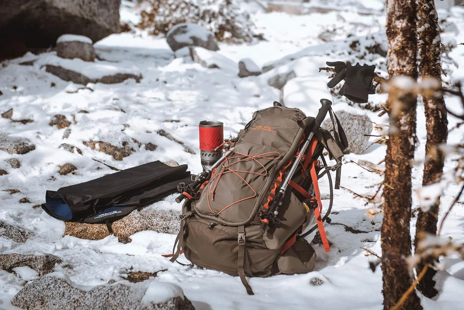 ALPS Mountaineering Trekking Pole