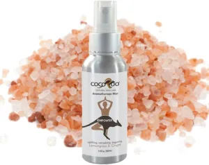 Aromatherapy Mist (Empower Lemongrass and Ginger)
