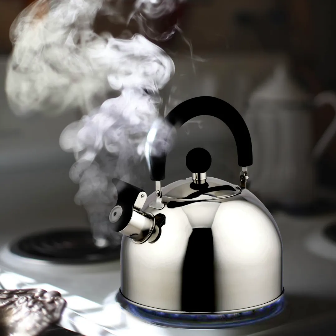 Bene Casa 2.5-quart stainless-steel stovetop tea kettle, removable, whistles