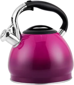 Camping Teapot, Tea Pot for Stove Top, Classic Retro 304 Stainless Steel Tea Kettle, Heat-Resistant Ergonomic Handle Works for All Stovetops