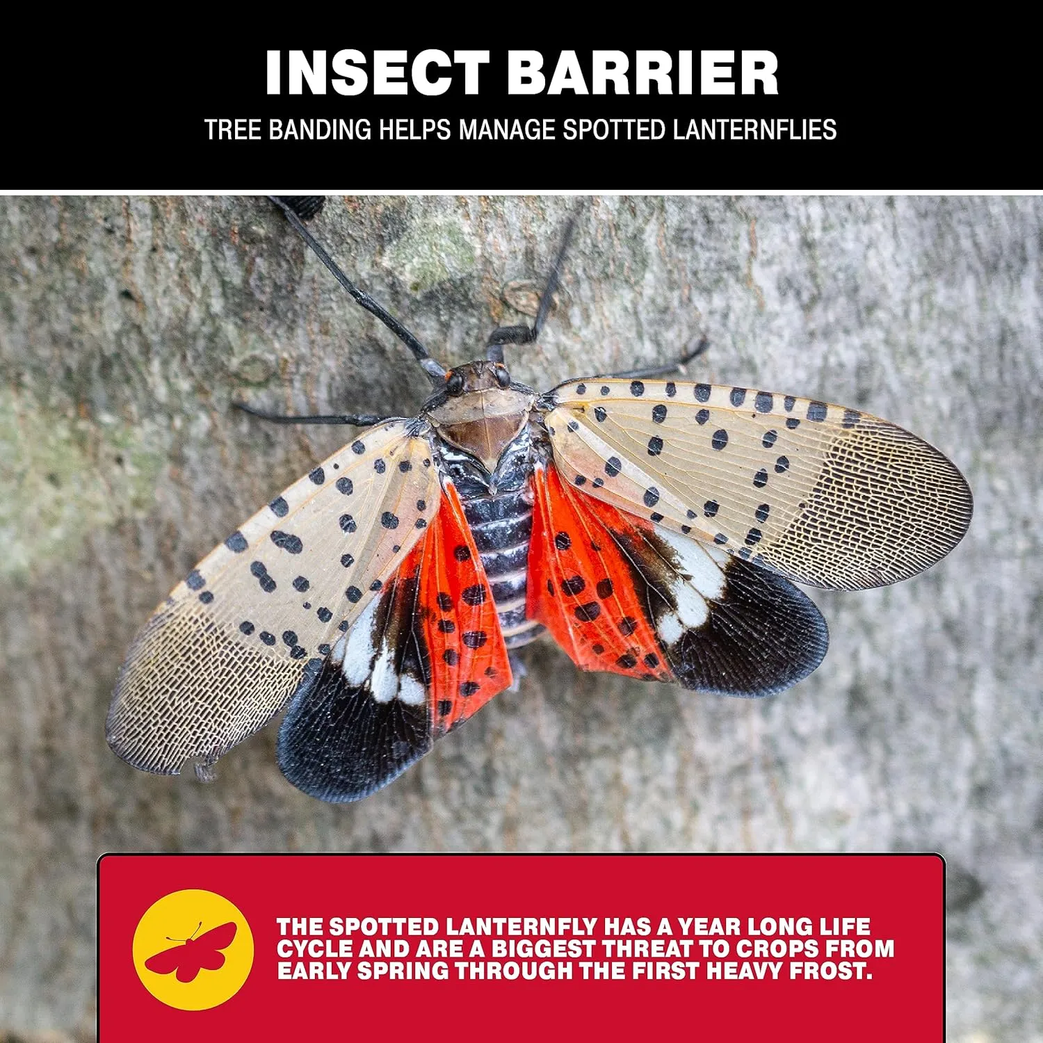 Catchmaster Tree Banding Insect Barrier DIY Kit, 15oz Pail & Spreader, Lanternfly & Ant Traps, Outdoor Adhesive Crawling Insect Trap, Glue Traps to Protect Trees, Fruit & Plants