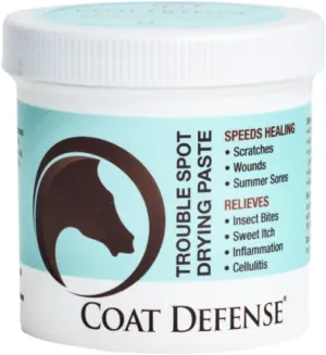 COAT DEFENSE Trouble Spot Drying Paste for Horses - Natural Equine Wound Care That Provides Safe & Effective Relief from Scratches, Sweet Itch, Summer Sores, Proud Flesh, Mud Fever, Girth Rot (10 Oz)