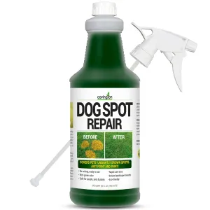 Covington Pre-Mixed Green Grass Paint for Lawn - Perfect Grass Color Fix for Dog Urine Spots or Brown Patches - Green Grass Spray Paint for Lawn & Turf - Just Point & Spray - (32 fl. oz.)
