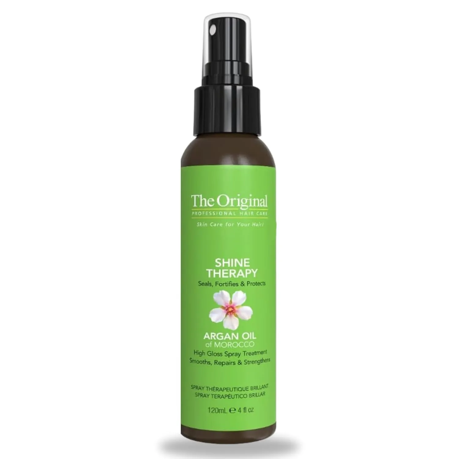 DermOrganic Shine Spray Therapy with Argan Oil – Smooths, Repairs, & Strengthens Hair, 4 fl.oz