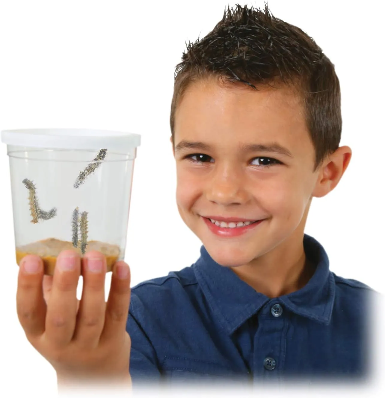Insect Lore Cup of Caterpillars Basic | 5 Live Baby Painted Lady Caterpillars | Refill for Habitat Kit | Food Included