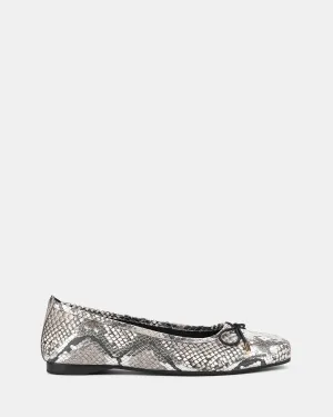Kettle Silver Snake