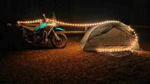Lantern String Unbeatable assortment StarLit™ Disc-O Nite Rechargeable   - Select™ Radiant® Ize Light | Chic