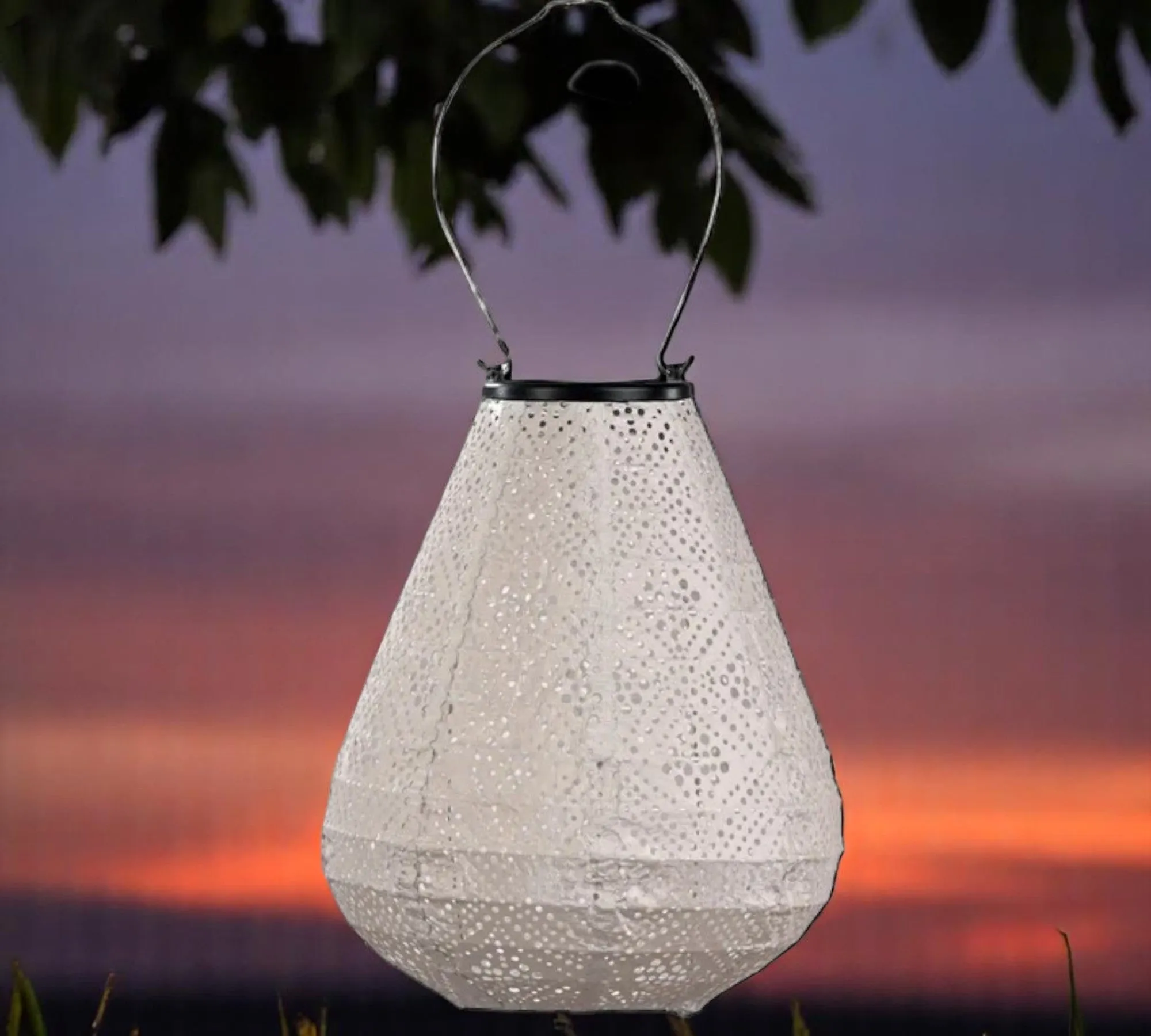 Lumiz Outdoor LED Solar Lantern - Tulip 20cm