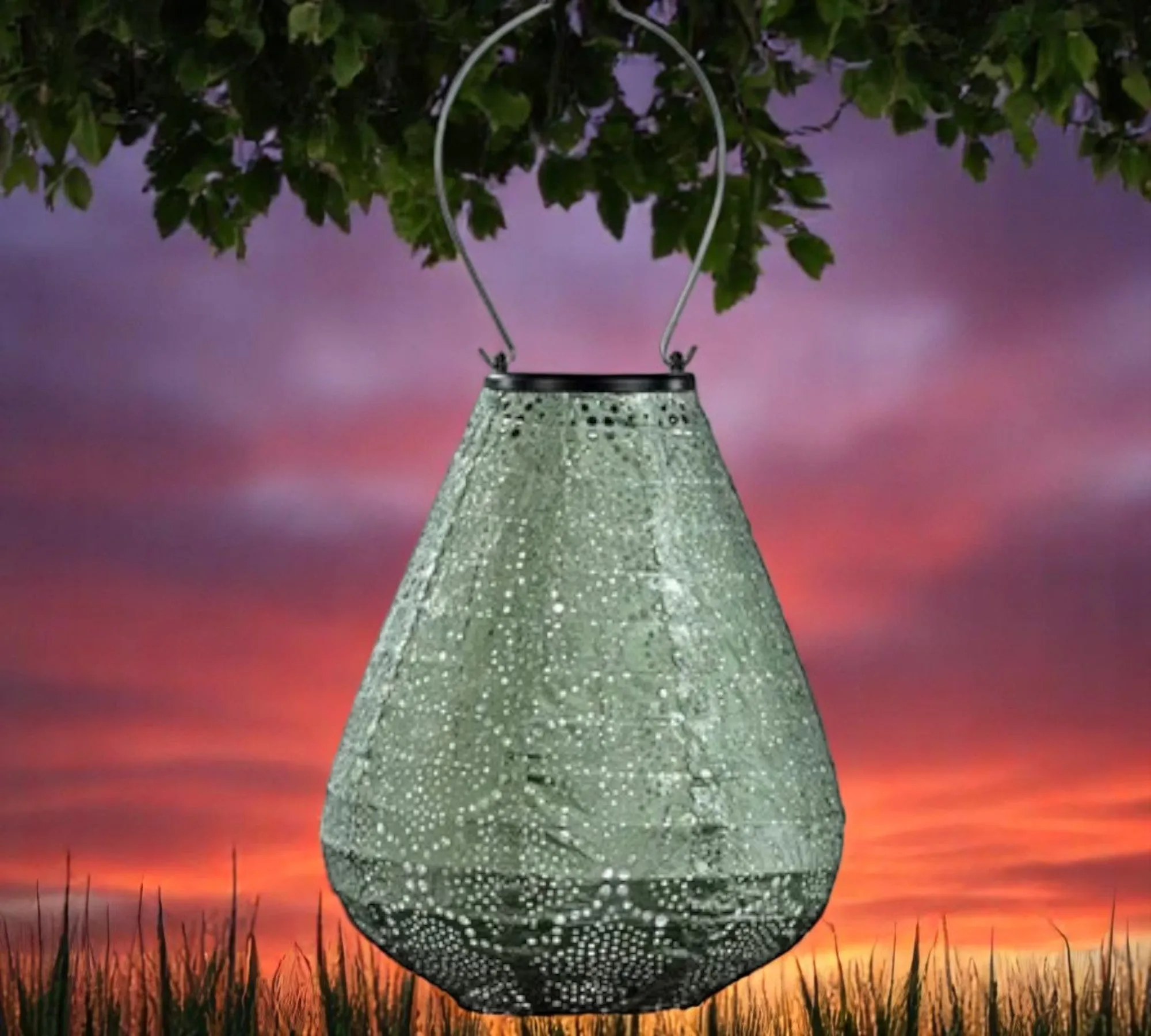 Lumiz Outdoor LED Solar Lantern - Tulip 20cm