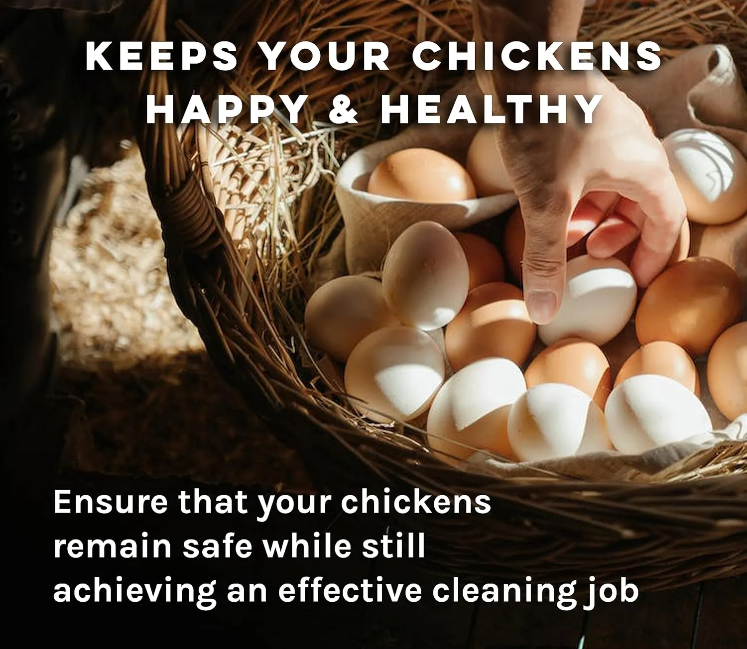 MICROBE-LIFT Chicken Coop Cleaner and Odor Eliminator, Use on all Surfaces and Supplies, Turns Chicken Poop Into Fertilizer, Ammonia Reducer, Highly Concentrated and Safe Formula, 1 Gallon