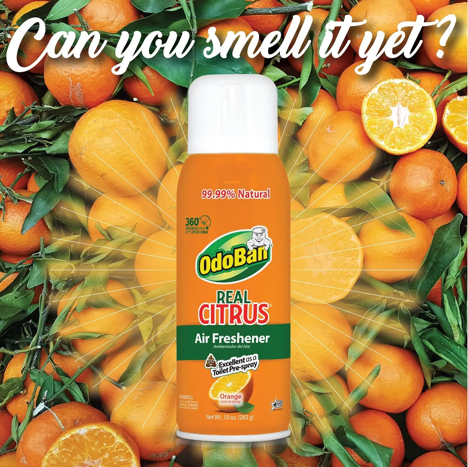 OdoBan Aroma Eliminator Set, 10 Ounce Toilet Spray 360-Degree Continuous Spray Natural Oil Real Citrus Orange Air Freshener and 14 Ounce Solid Scent Absorber