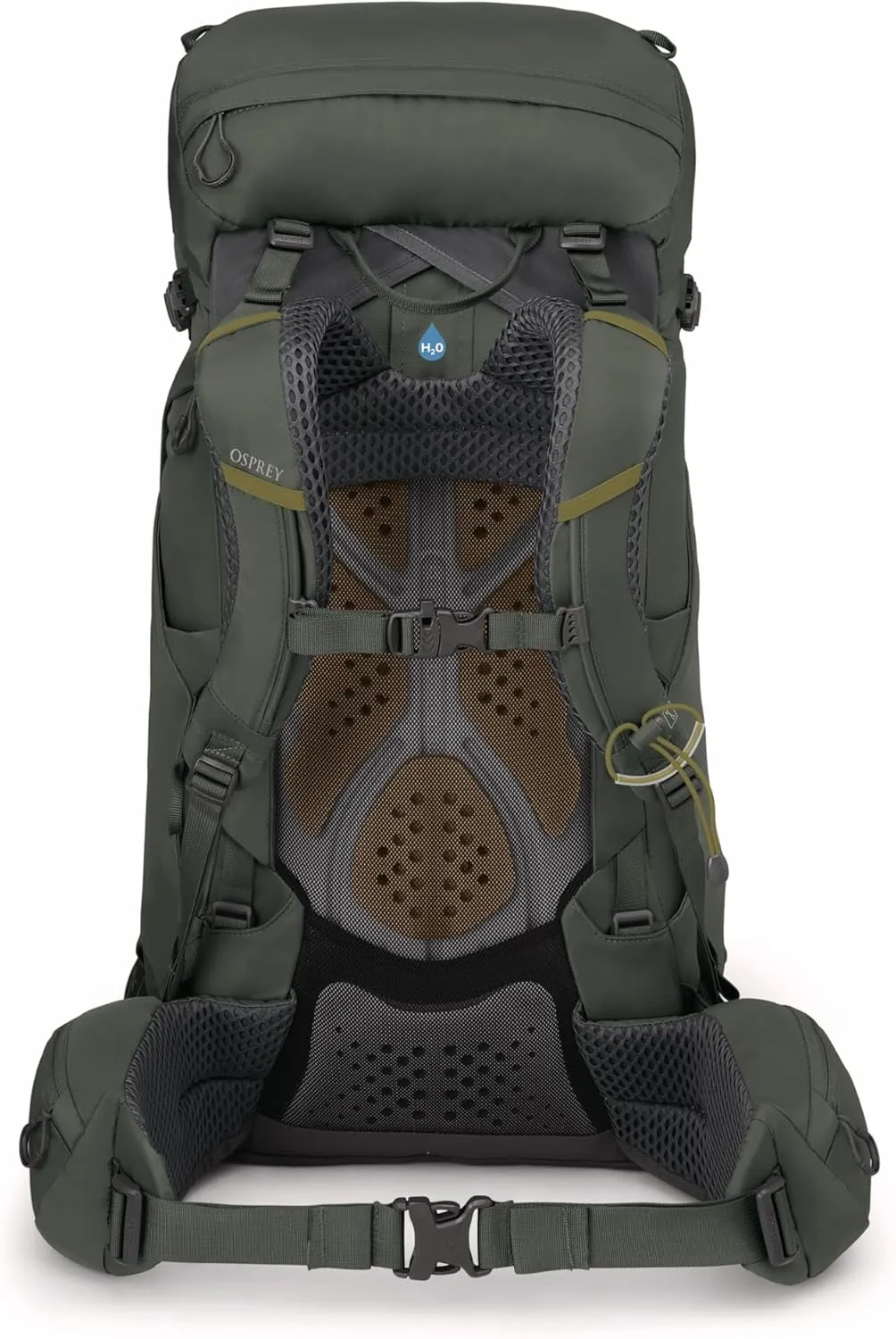 Osprey Kestrel 38L Men's Backpacking Backpack, Bonsai Green, L/XL