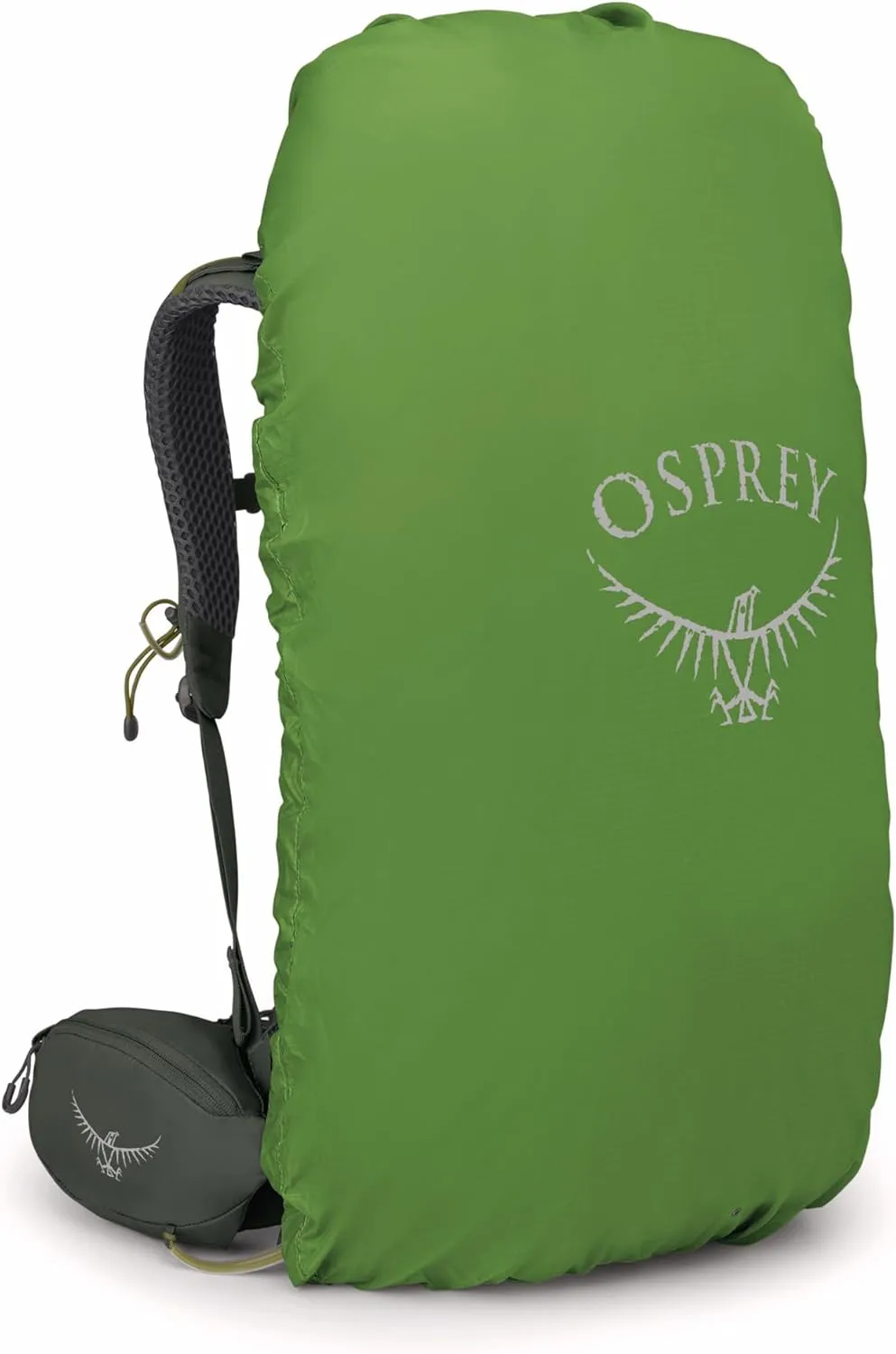 Osprey Kestrel 38L Men's Backpacking Backpack, Bonsai Green, L/XL