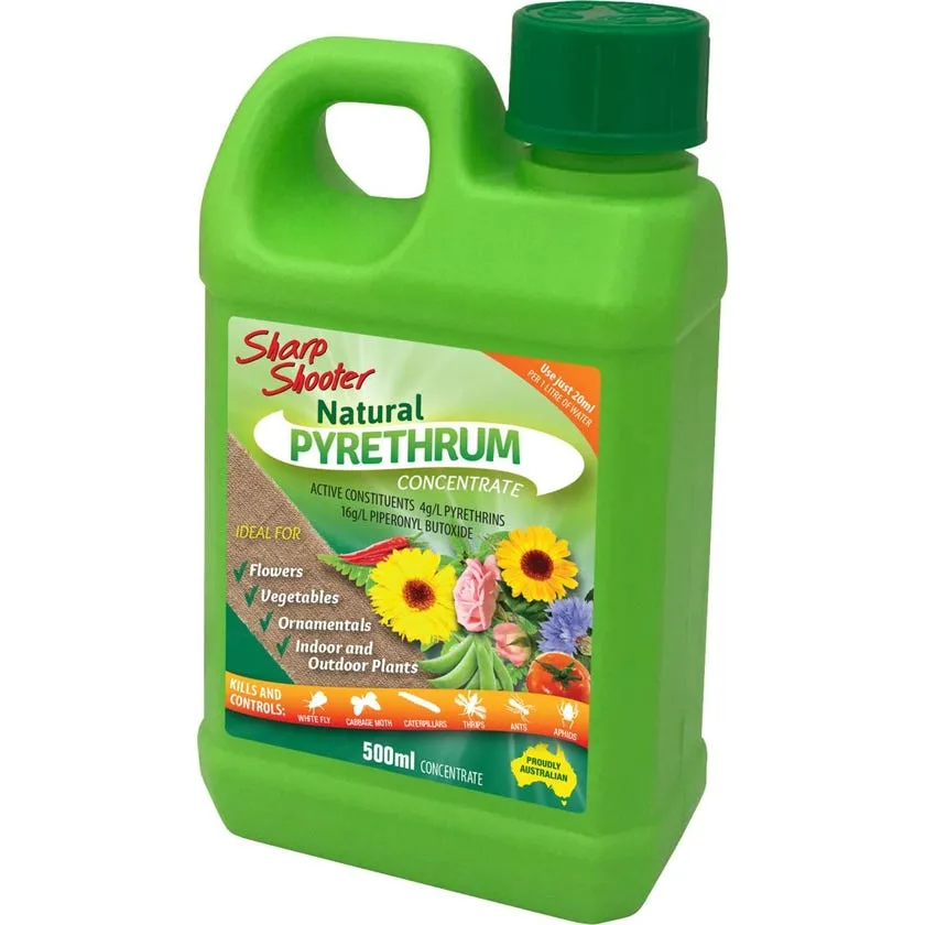 Pyrethrum Sharp Shooter