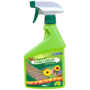 Pyrethrum Sharp Shooter
