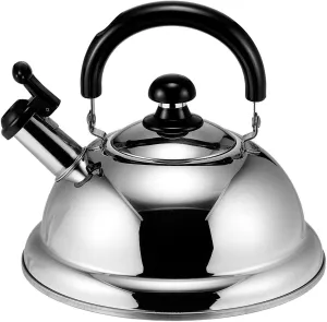 Quickone Takei Energy-Saving Fuefuki Whistle Kettle, 2.5 L, Silver