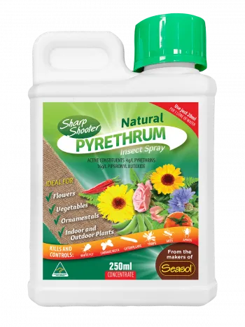 Sharp Shooter Pyrethrum Concentrate - 250mL