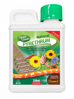 Sharp Shooter Pyrethrum Concentrate - 250mL