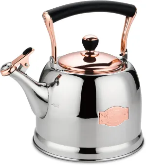 Tea Kettle Stainless Steel Teapot, Stainless Steel Teakettle for Stove Top with Heat Proof Ergonomic Handle 3.0 Quart