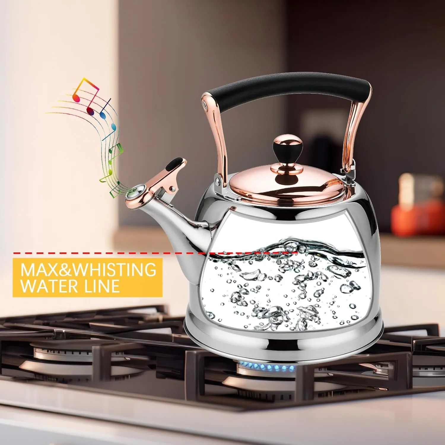 Tea Kettle Stainless Steel Teapot, Stainless Steel Teakettle for Stove Top with Heat Proof Ergonomic Handle 3.0 Quart