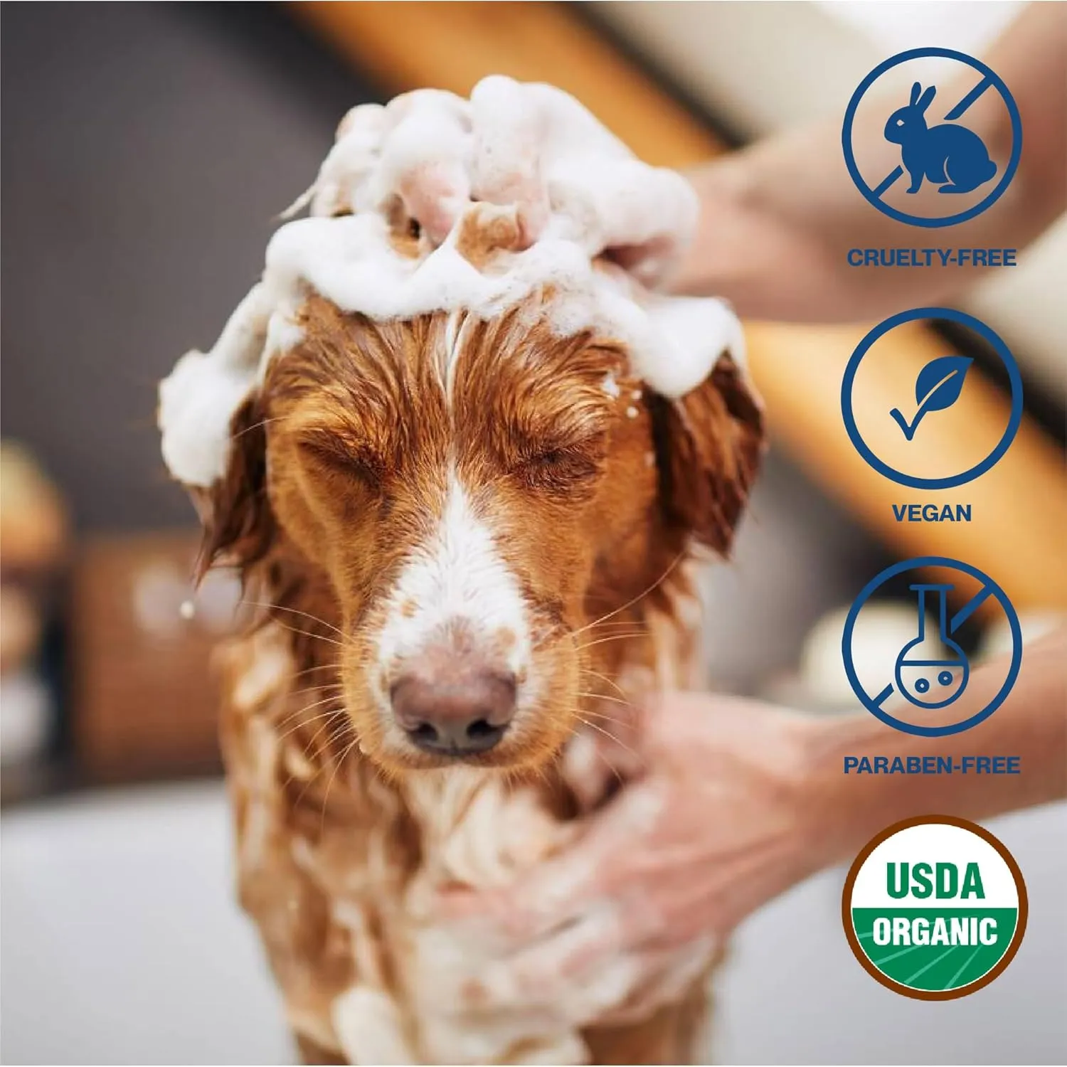 uh*Roh*Muh Organic Castile Liquid Soap - USDA Certified Versatile Soap Base for Soap Making | Gentle Skin Cleanser, Plant-Friendly Insect Spray, Pet Wash made with Natural Ingredients UK - (1G)