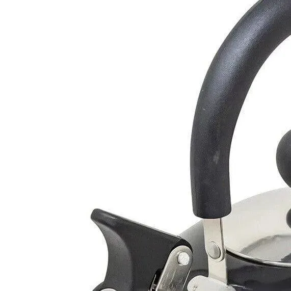 Whistling Kettle Stainless Steel Gas Electric Induction 2.5L - Choice Of Colour