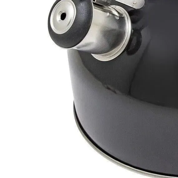 Whistling Kettle Stainless Steel Gas Electric Induction 2.5L - Choice Of Colour