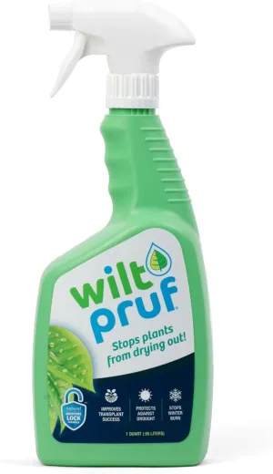 Wilt-Pruf® Organic Plant Protector Spray | Prevents Mositure Loss and Winter Burn | No Burlap or Wrapping Required (32 oz)