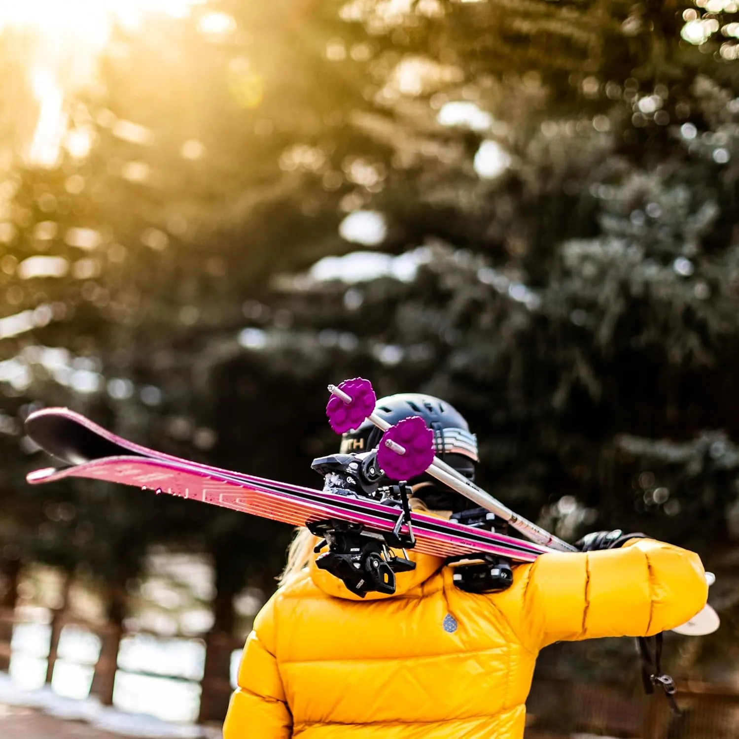 Wolf | Mountain Lion Ski Pole Baskets