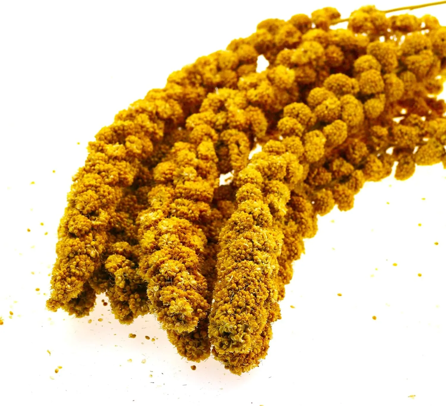 Yellow Millet Spray for Birds 2.0LB, Natural Sun-Dried with Stems and Edible Tops for Parakeet, Budgies, Finches, Cockatiels, Parrots, Lovebird, Hamster and Other Pet Birds Bird Treat