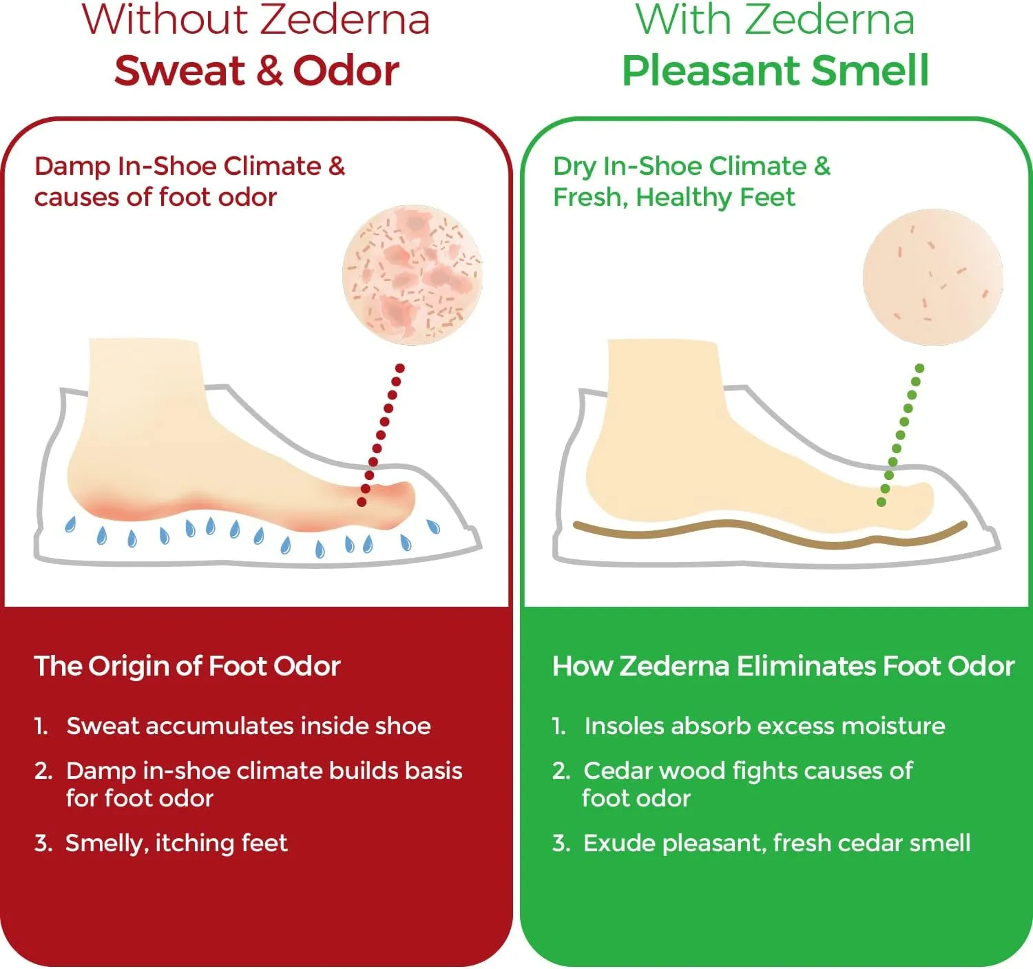 Zederna Cedar Wood Shoe Insoles 1 Pair, Cedar/RedUS M 6/ W 7.5/ EU 38